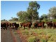 ‘ GLENDILLA, Cunnamulla QLD 4490