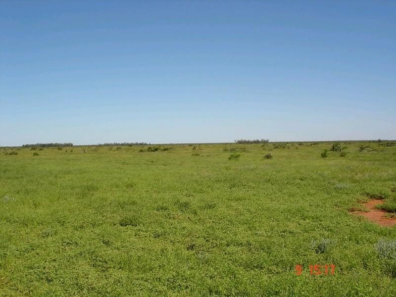 ‘ GLENDILLA, Cunnamulla QLD 4490
