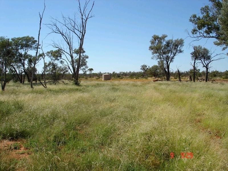 ‘ GLENDILLA, Cunnamulla QLD 4490