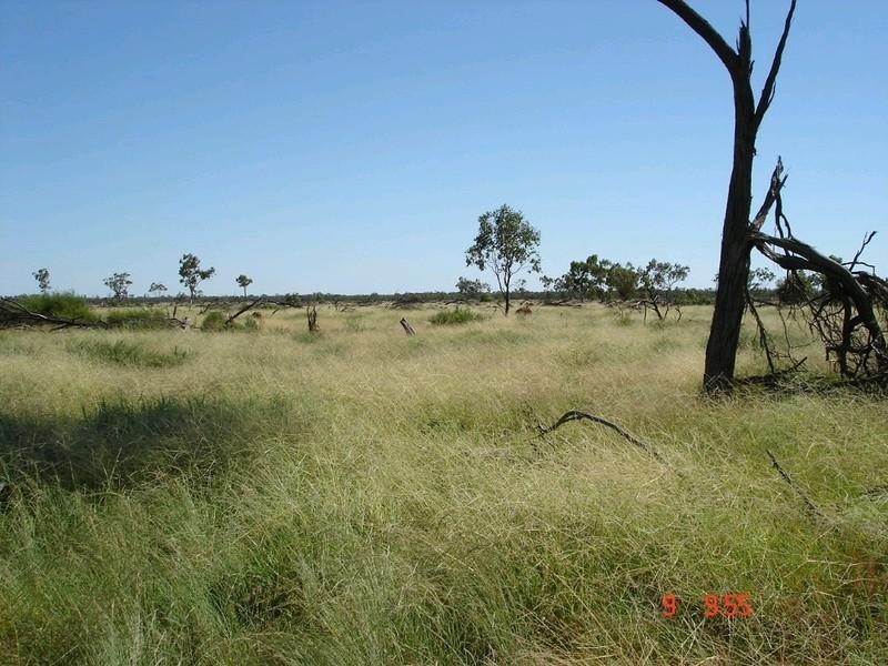‘ GLENDILLA, Cunnamulla QLD 4490