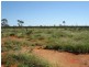 ‘ GLENDILLA, Cunnamulla QLD 4490