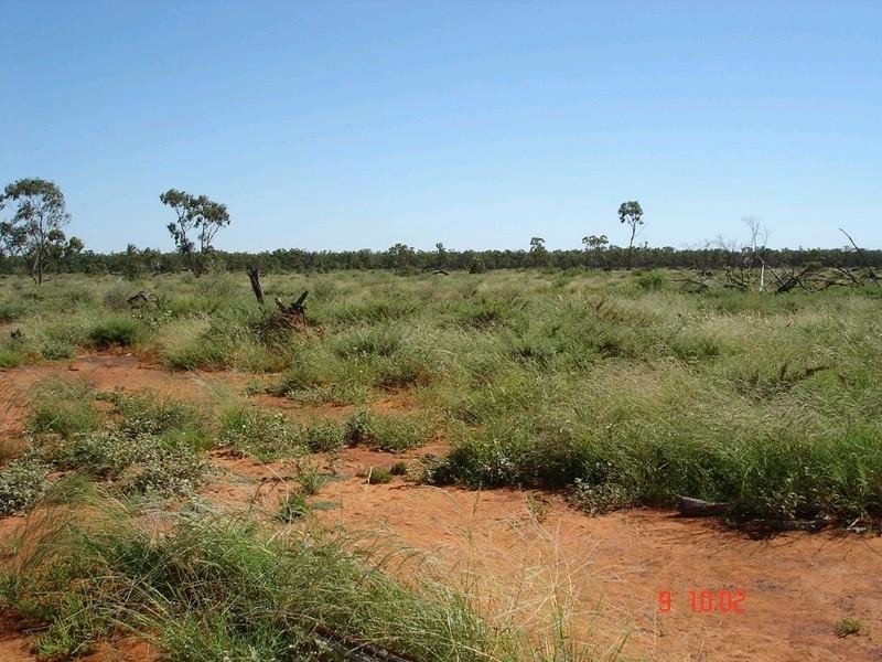 ‘ GLENDILLA, Cunnamulla QLD 4490