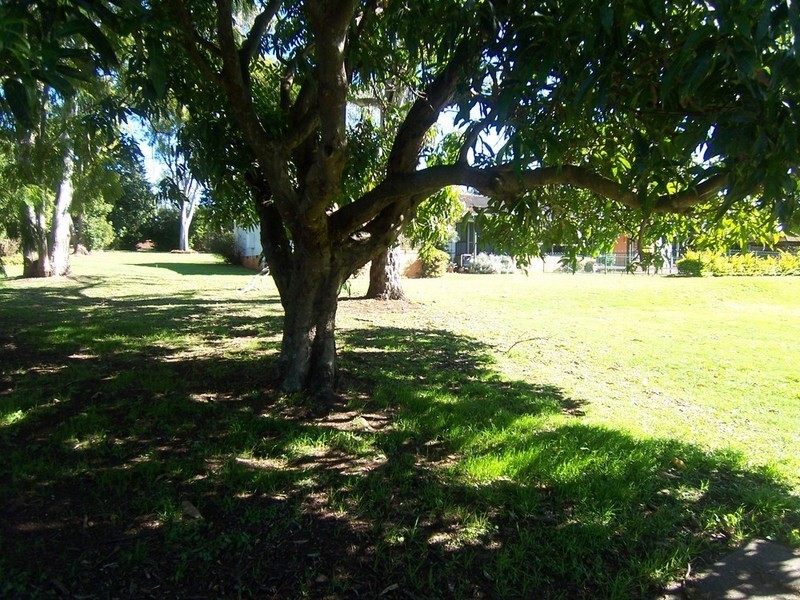 79 Retreat Street, Bridgeman Downs QLD 4035