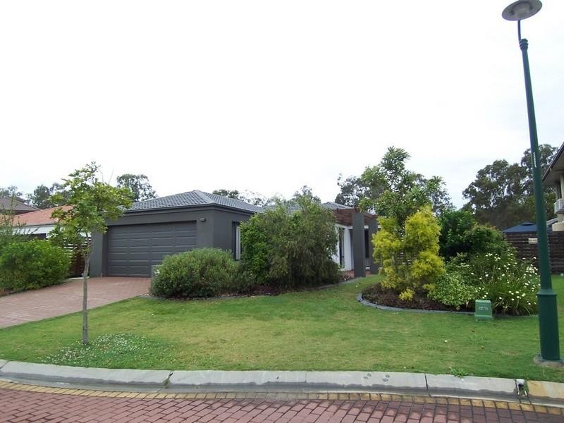 43 Waterlily Circuit, Carseldine QLD 4034