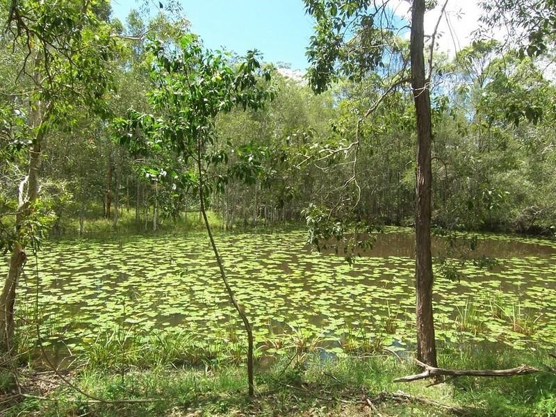 Wamuran QLD 4512
