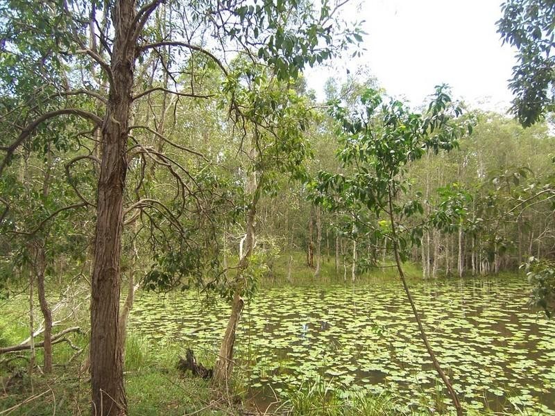 Wamuran QLD 4512
