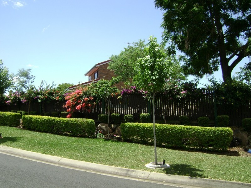 Carseldine QLD 4034