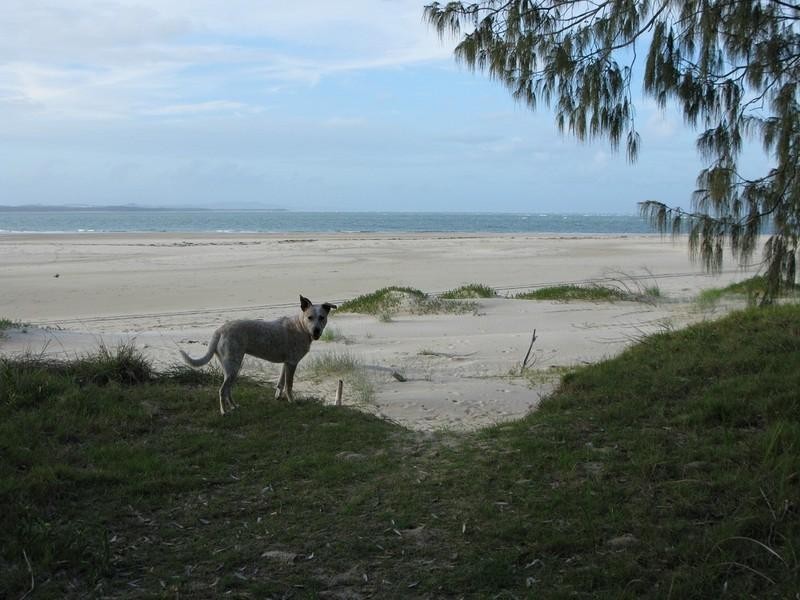 Amity Point QLD 4183