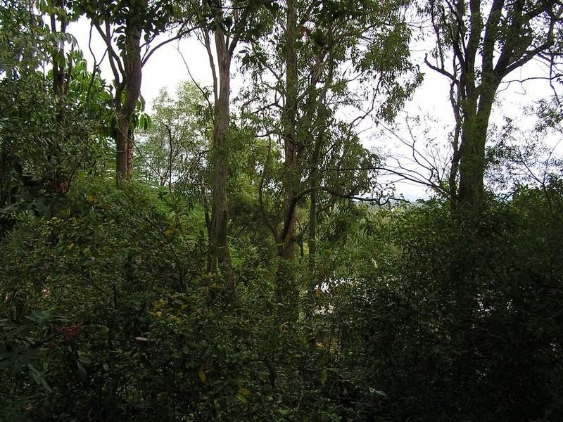 40 Rutherford Street, Stafford Heights QLD 4053