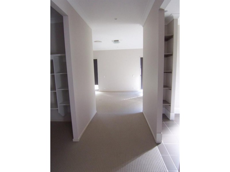 16 Crowcombe Place, Carseldine QLD 4034