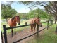 421 Trouts Road, Chermside West QLD 4032