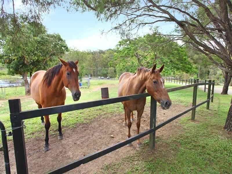 421 Trouts Road, Chermside West QLD 4032