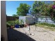 69 Balcara Avenue, Carseldine QLD 4034
