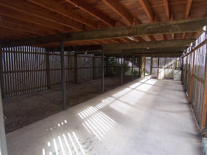 14 Orchid Street, Enoggera QLD 4051