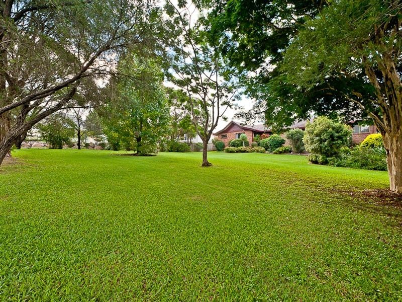 53 Willara Street, Carseldine QLD 4034