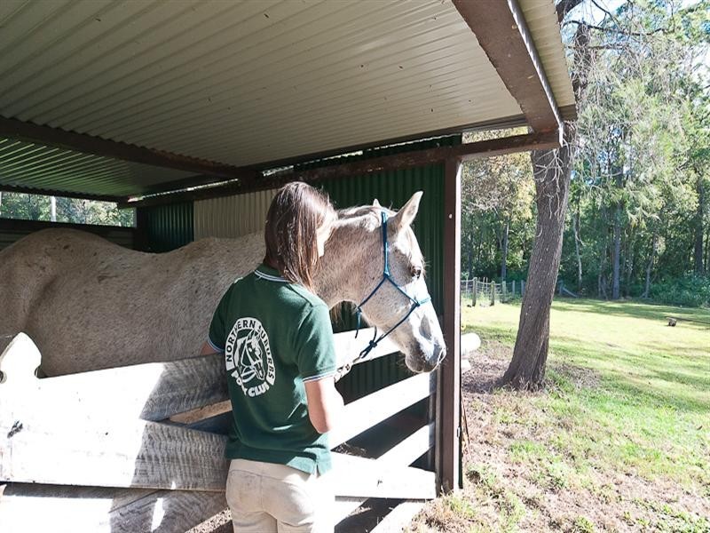 340 Bridgeman Road, Bridgeman Downs QLD 4035