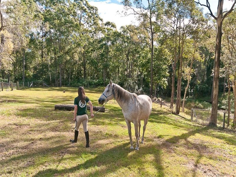 340 Bridgeman Road, Bridgeman Downs QLD 4035