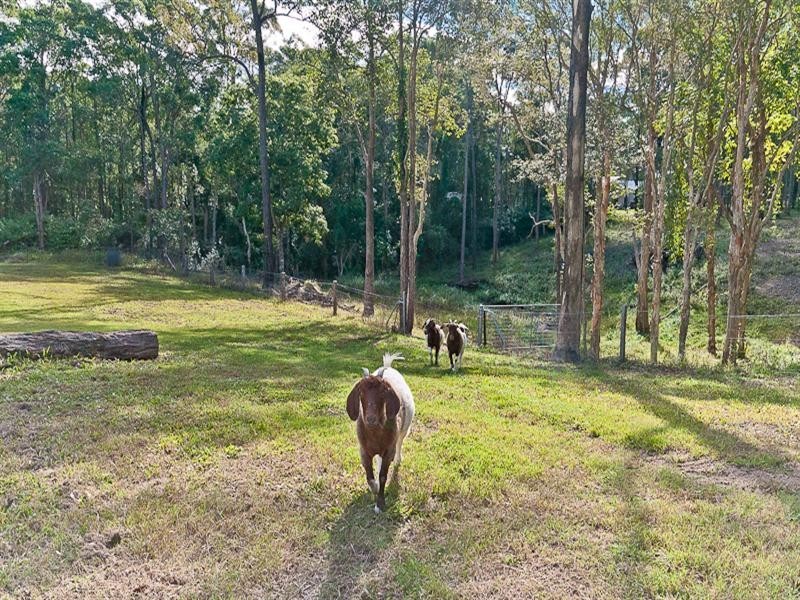 340 Bridgeman Road, Bridgeman Downs QLD 4035