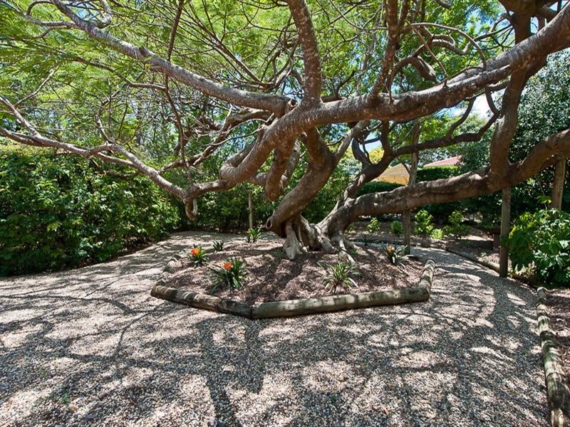 806 Beams Road, Bridgeman Downs QLD 4035