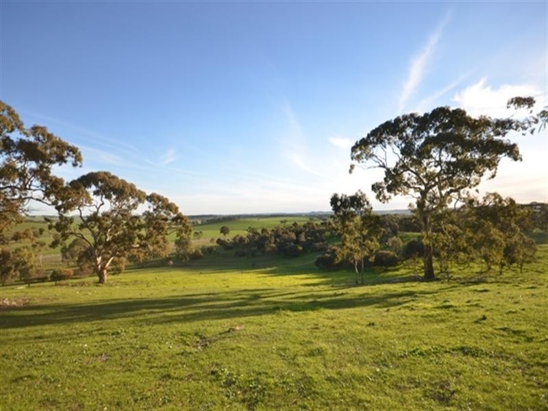 Sec 199 Mintaro to Manoora Road, Manoora SA 5414
