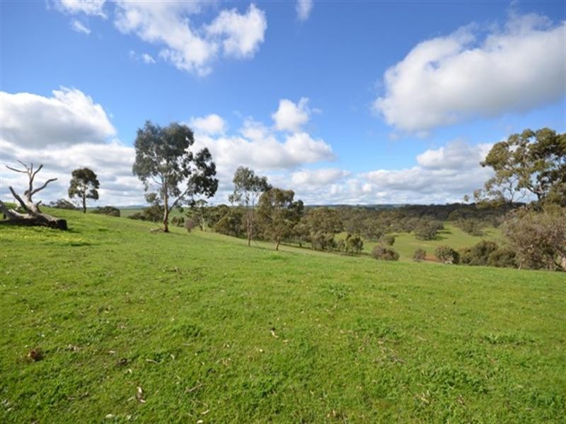 Sec 199 Mintaro to Manoora Road, Manoora SA 5414
