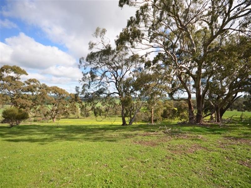 Sec 199 Mintaro to Manoora Road, Manoora SA 5414