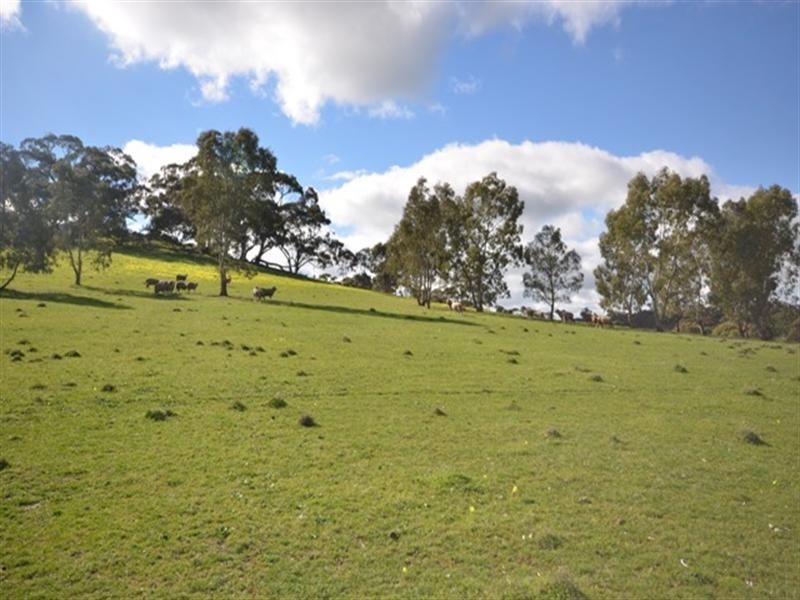 Sec 199 Mintaro to Manoora Road, Manoora SA 5414
