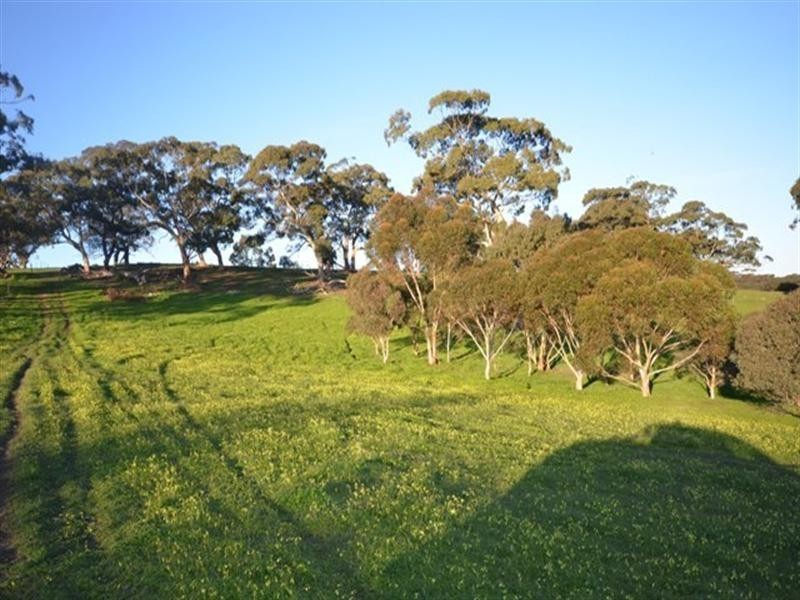 Sec 199 Mintaro to Manoora Road, Manoora SA 5414