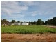 Various Allotments, Snowtown SA 5520