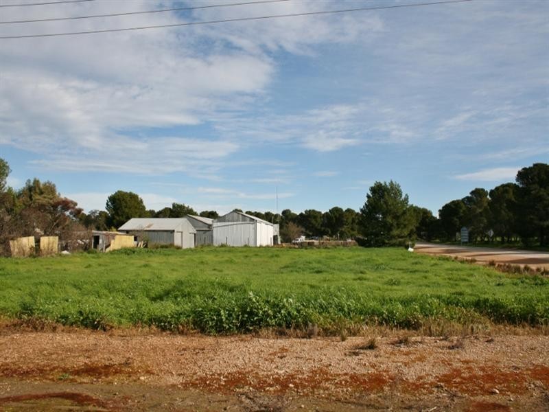 Various Allotments, Snowtown SA 5520