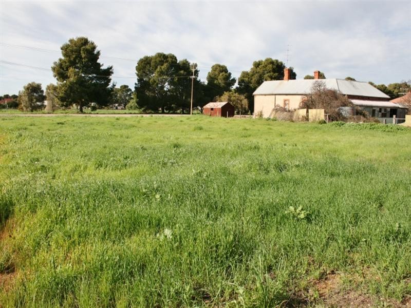 Various Allotments, Snowtown SA 5520