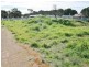 Various Allotments, Snowtown SA 5520