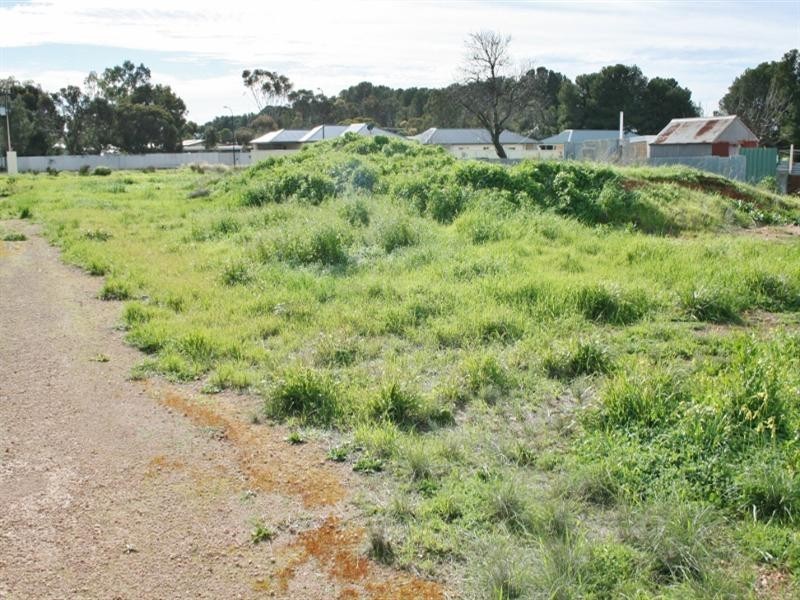 Various Allotments, Snowtown SA 5520