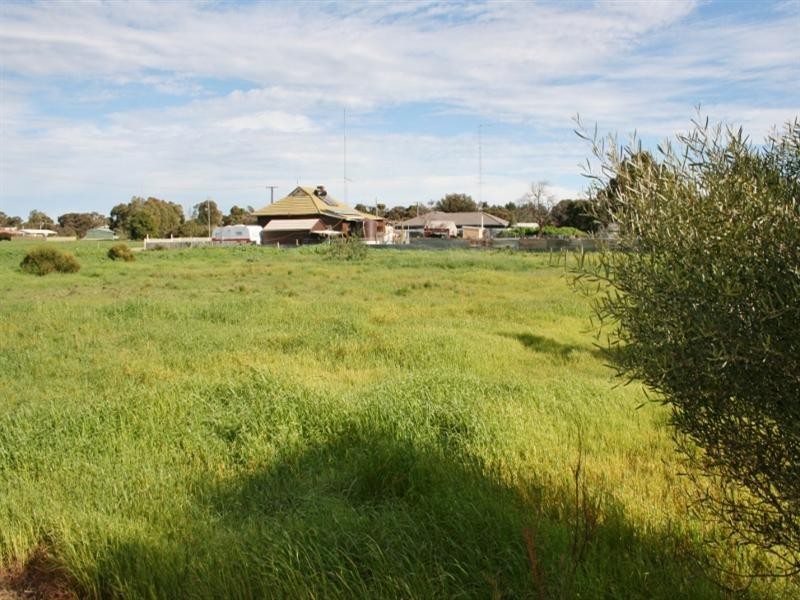 Various Allotments, Snowtown SA 5520