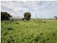 Various Allotments, Snowtown SA 5520