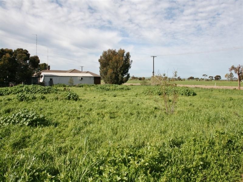 Various Allotments, Snowtown SA 5520