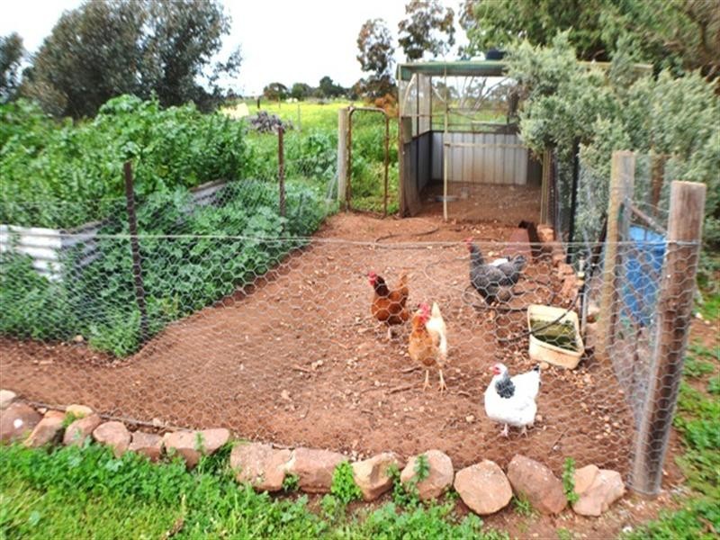 10 Chandler Road, Halbury SA 5461