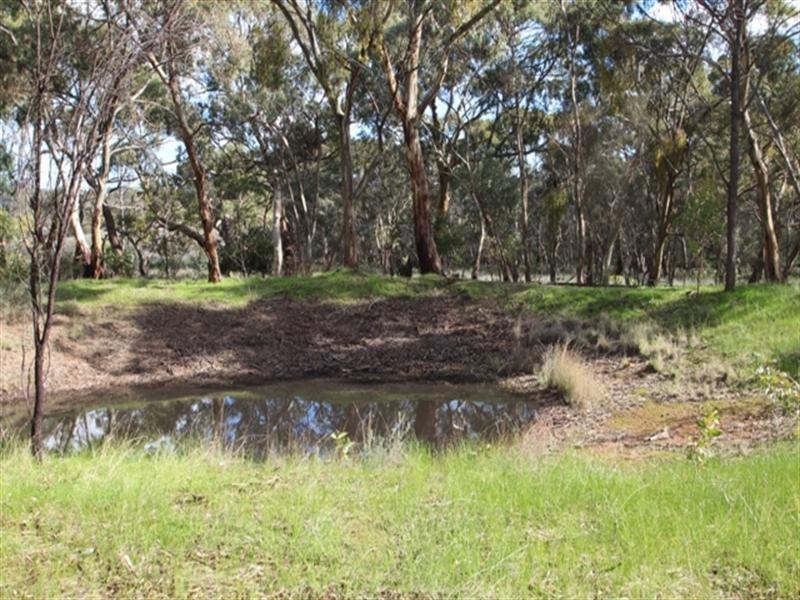 Lot 580 Maggies Farm Road, Clare SA 5453