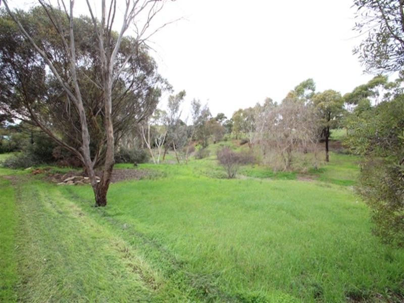 Lots 4 and 5 Lower Thames Street, Burra SA 5417