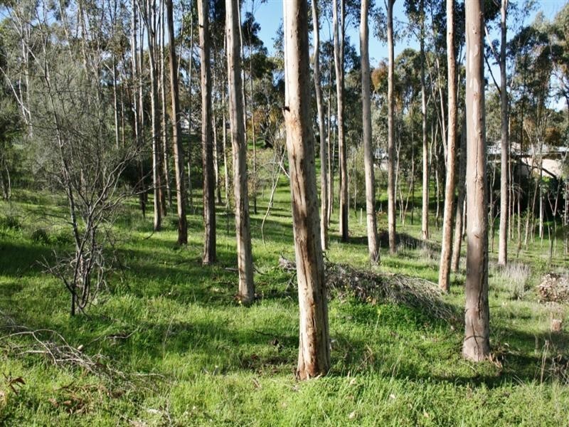 Lots 1 – 4 High Steet, Armagh SA 5453