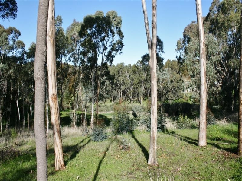 Lots 1 – 4 High Steet, Armagh SA 5453