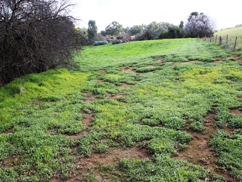Lot 92 Wakefield Street, Mintaro SA 5415
