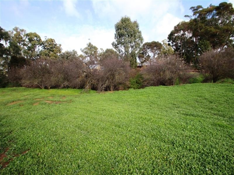 Lot 92 Wakefield Street, Mintaro SA 5415
