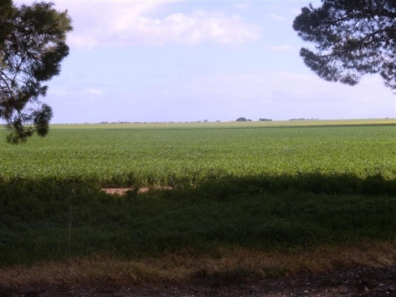 1152 Port Victoria Road, South Kilkerran SA 5573