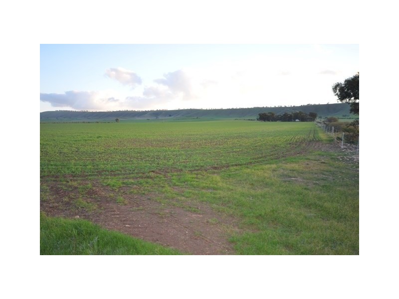 Sec 407 and 408 Stock Route Road, Robertstown SA 5381