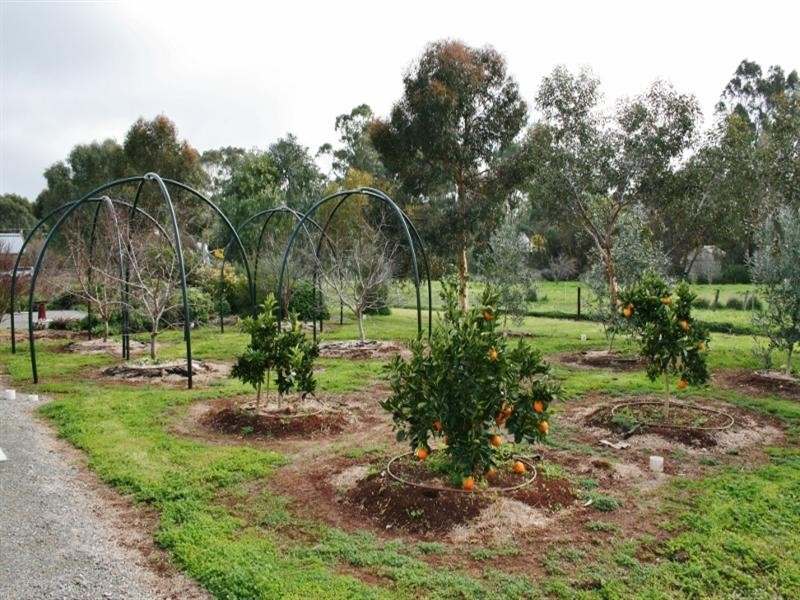 Lot 8 Burra Street, Mintaro SA 5415