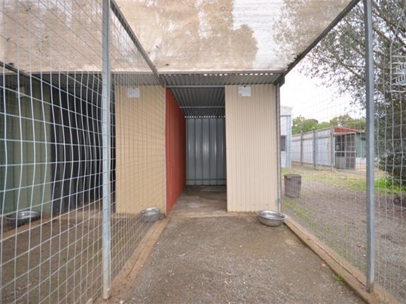 Various Secs Main Street, Black Springs SA 5413