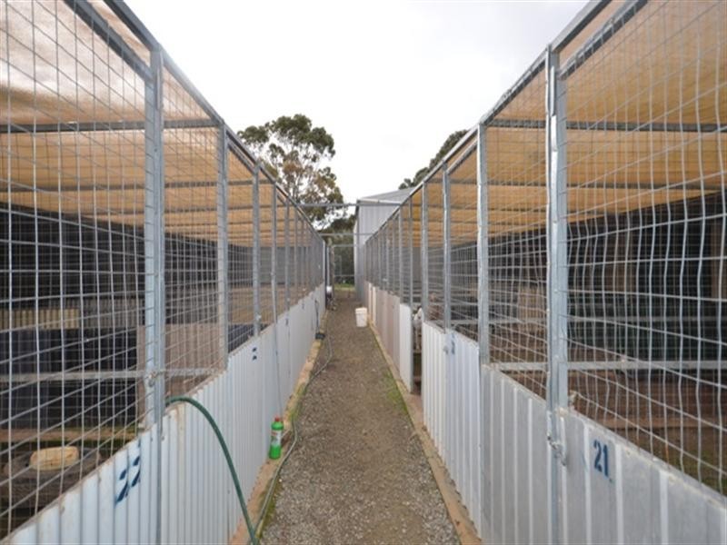 Various Secs Main Street, Black Springs SA 5413