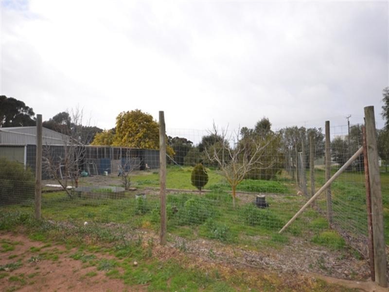 Various Secs Main Street, Black Springs SA 5413