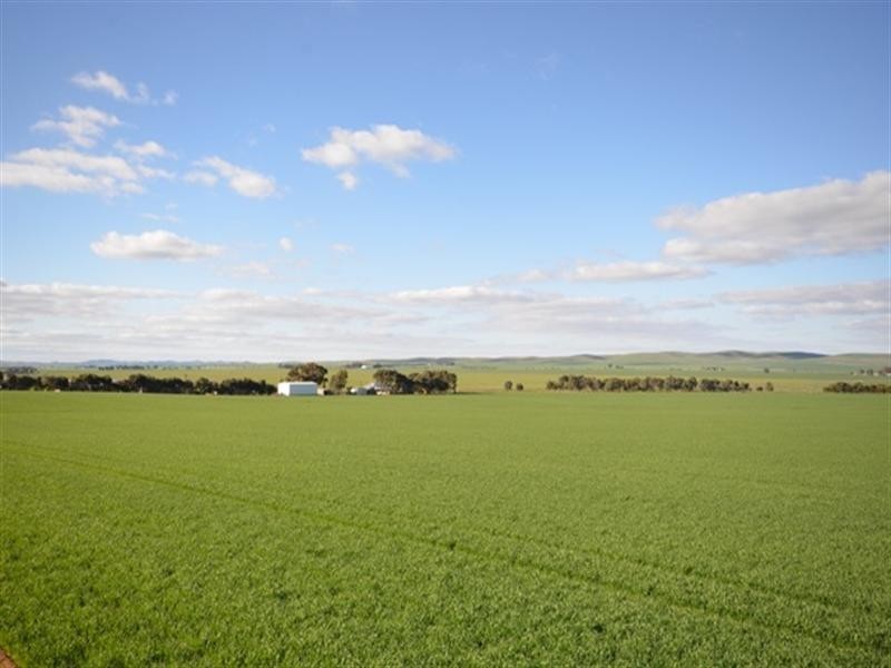 ‘OLGAVALE’ Various Secs, Farrell Flat SA 5416